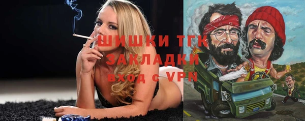 амф Новодвинск