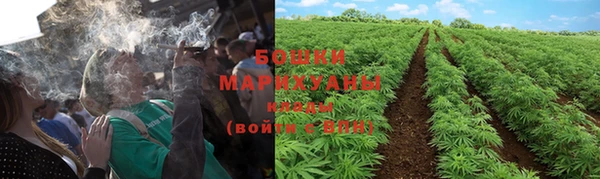 амф Новодвинск