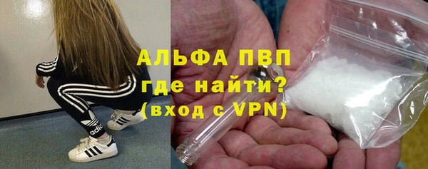 амф Новодвинск