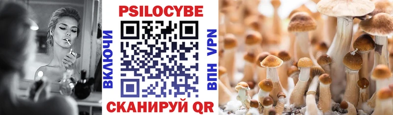 блэк спрут ONION  Новая Усмань  маркетплейс клад  Псилоцибиновые грибы Psilocybe 